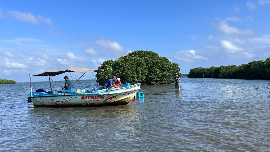 Travelers taking a mangrove boat safari during a private Sri Lanka tour